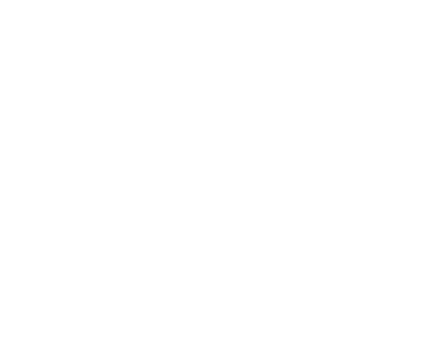 MAD Team