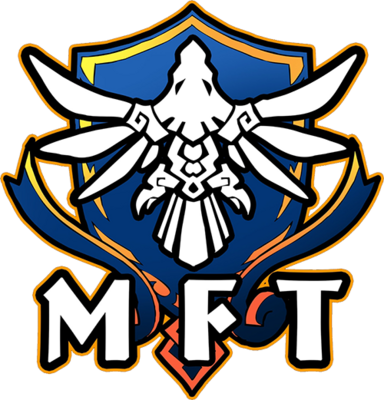 Meta Falcon Team