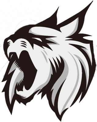 Midnight Sun Esports
