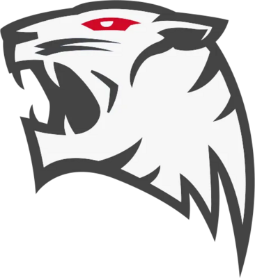 ROX Tigers
