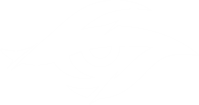 Secret Whales