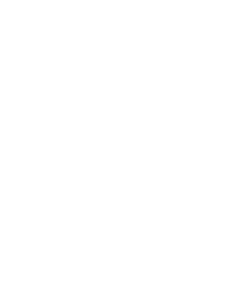 Team Whales