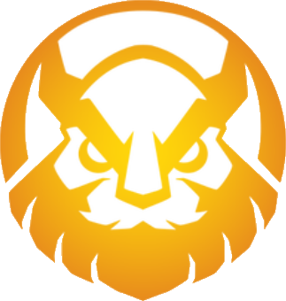 Vikings Esports